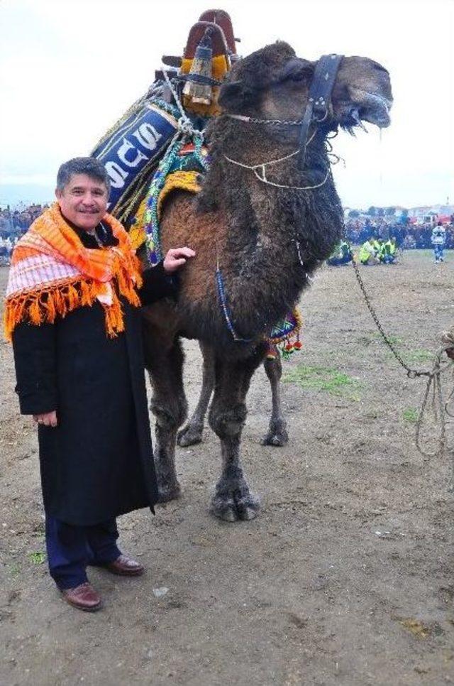 Tanrıverdi Deve G&uuml;reşlerini İzledi 2