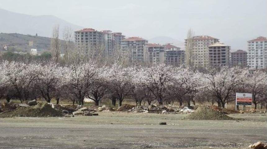 Konutların G&ouml;lgesi Beyaza B&uuml;r&uuml;nd&uuml;