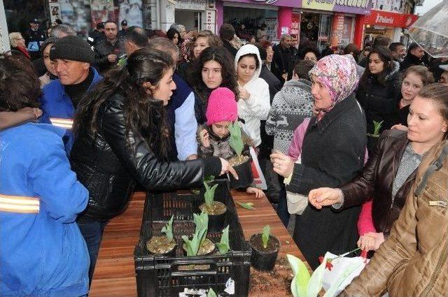 Çorlu Belediyesi Kadınlar Günü’nde Karanfil Ve Lale Dağıttı