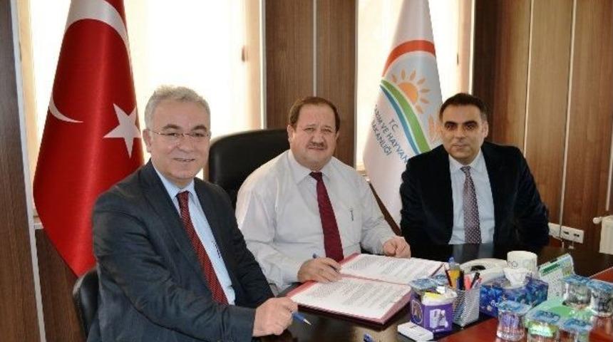 Bafra&rsquo;da Şap Aşı Uygulaması &Ouml;zelleştirildi