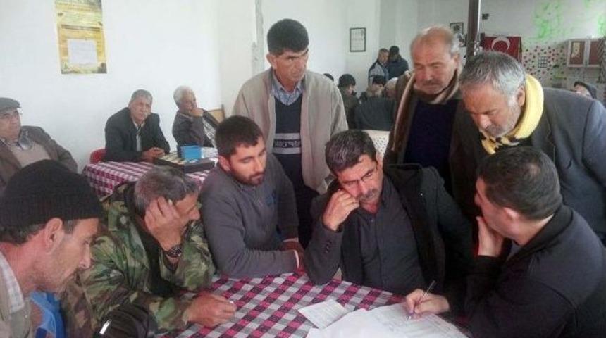 Dalaman'da Arı Konaklama Alanları Tespit Ediliyor