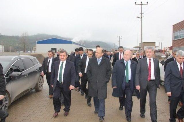 Bakan Işık, Fatsa&rsquo;da Sanayi Yatırımlarını İnceledi 3