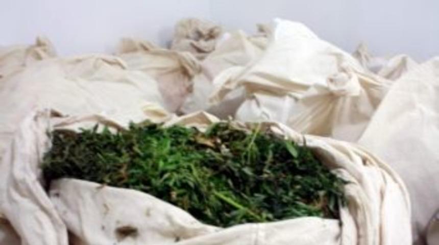 Alanya'da Uyuşturucu Operasyonu