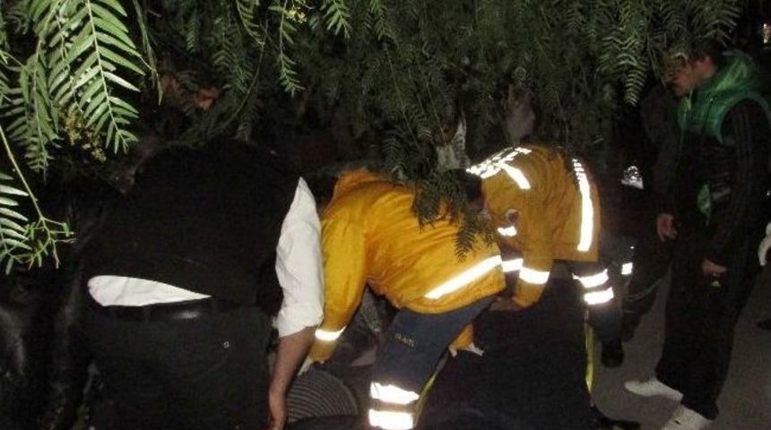 Kuşadası&rsquo;nda Silahlı Kavga: 3 Yaralı