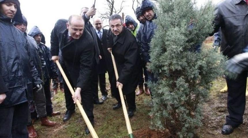 Gebze'de 500 Fidan Toprakla Buluştu