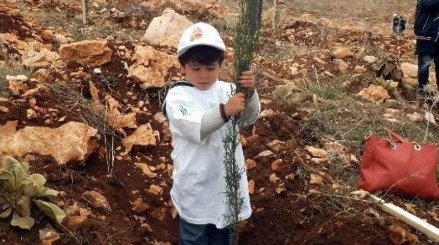 &lsquo;ormanlar Fidansız, Yetimler Kimsesiz Kalmasın&rsquo;