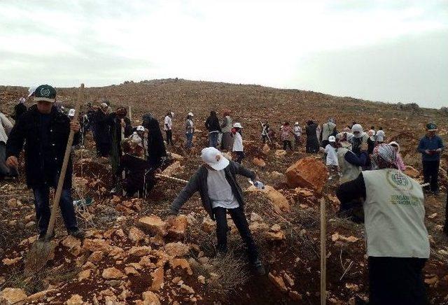 ‘ormanlar Fidansız, Yetimler Kimsesiz Kalmasın’