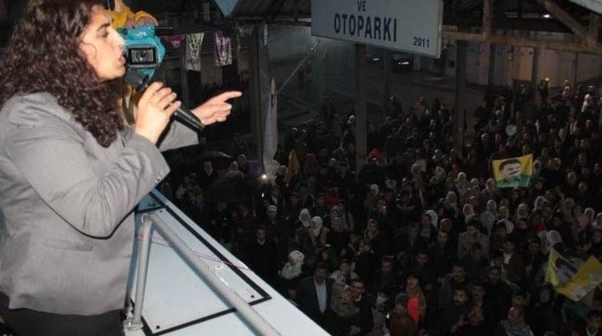 Hdp Eş Genel Başkanı Sebahat Tuncel: