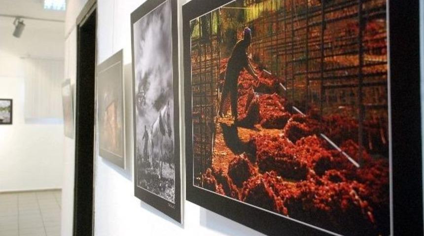 Aydınlı Tabiplerden 8. Geleneksel Resim Ve Fotoğraf Sergisi