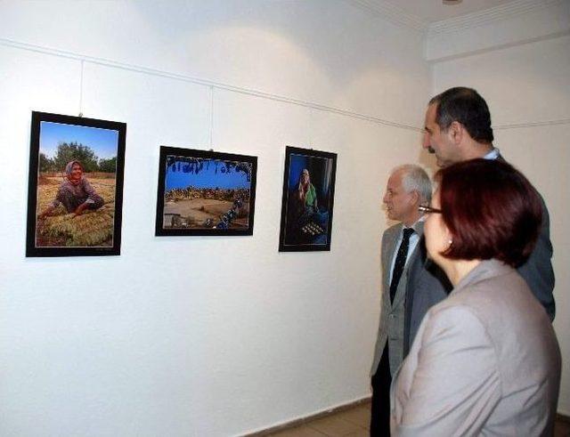 Aydınlı Tabiplerden 8. Geleneksel Resim Ve Fotoğraf Sergisi