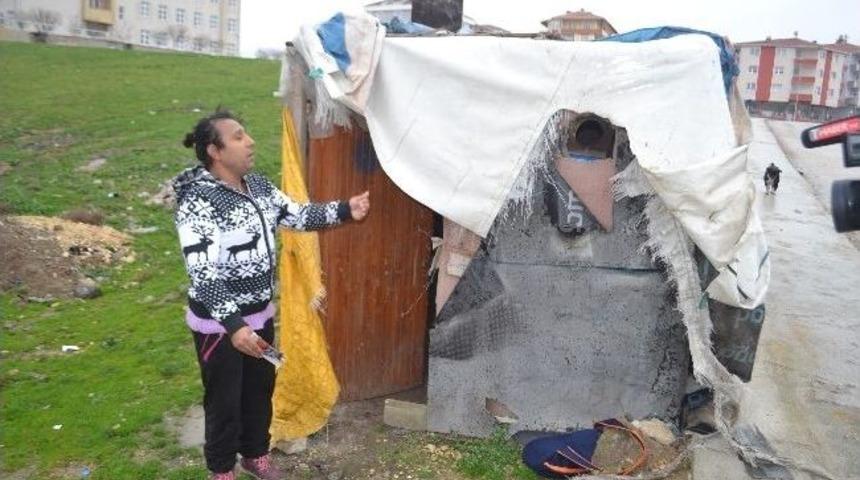 K&uuml;mes Gibi Evde Yaşam M&uuml;cadelesi