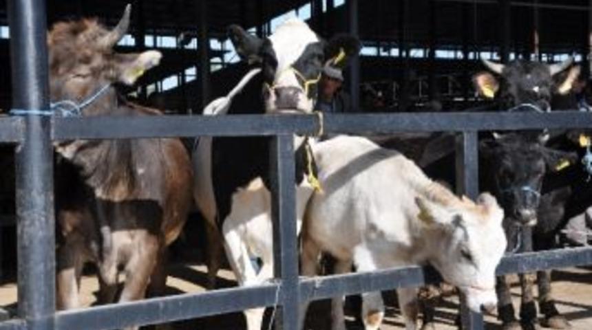 K&uuml;tahya'da 2 Bin 714 &Uuml;reticiye 3 Milyon 300 Bin 200 Tl Hakediş