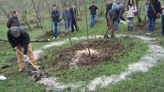 Fındıkta Verimlilik Eğitimi