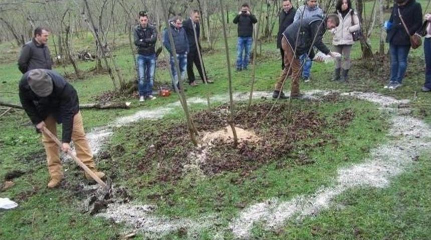 Fındıkta Verimlilik Eğitimi