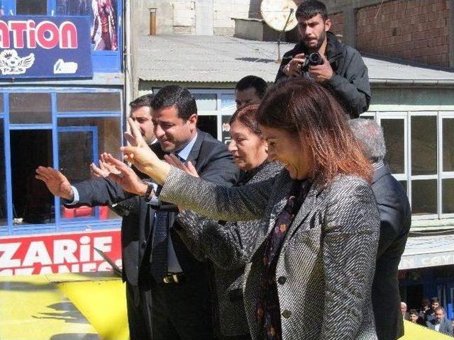 Selahattin Demirtaş Doğubayazıt'ta