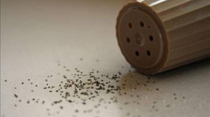 Beyni geliştiren besinler