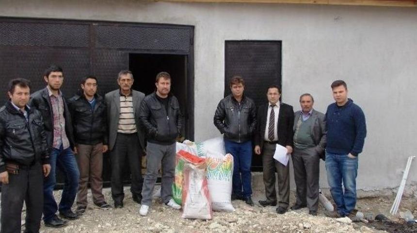 Hisarcık&rsquo;ta &Ccedil;ift&ccedil;ilere &Uuml;cretsiz Sertifikalı Yem Bitkileri Tohumu Dağıtıldı