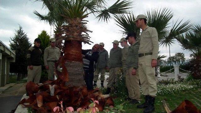 Vatani Görevini Yerine Getiriken Meslek Ediniyorlar