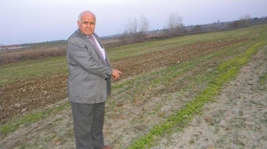 Edirne'deki Yağışlar &Ccedil;ift&ccedil;iyi Memnun Etti