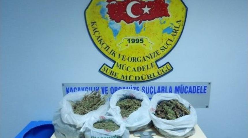 Hektor Ve Dingo Uyuşturucu Tacirlerini Affetmedi