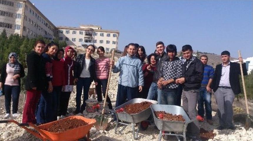 Ga&uuml;n Nizip Myo Yeşillendirme Projesi