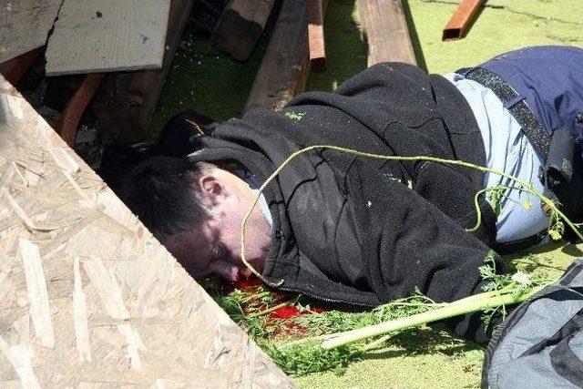 Kakt&uuml;s Ağacını İnceleyen Turist Kayalıklara D&uuml;şt&uuml; 1