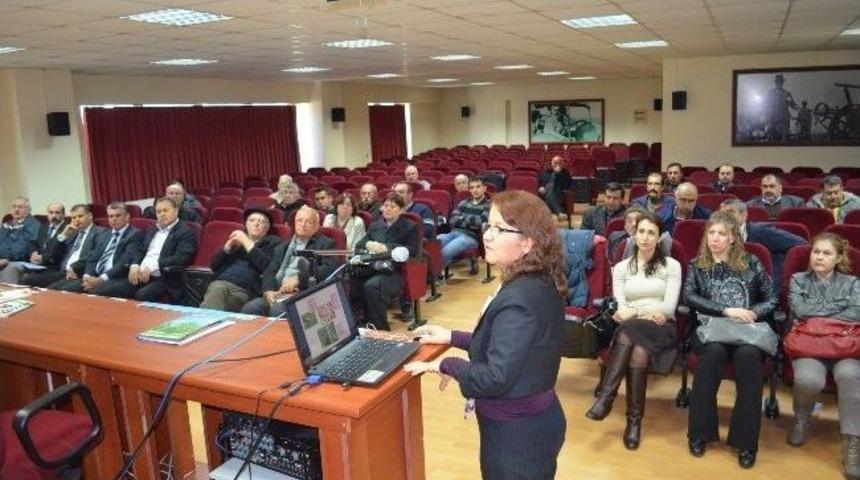 S&ouml;ke&rsquo;de Narenciye Toplantısı