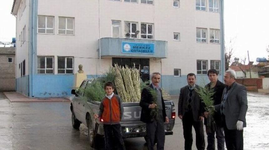 Okullara 2 Bin Adet &Ccedil;am Fidanı Dağıtıldı
