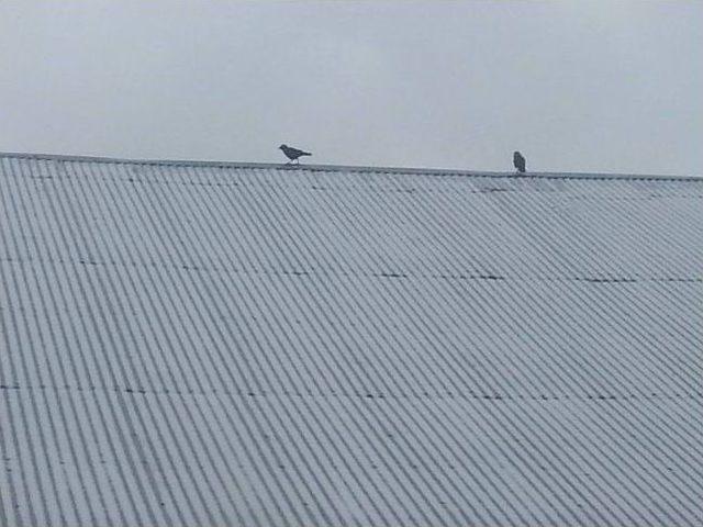 Mart Kapıdan Baktırdı 1