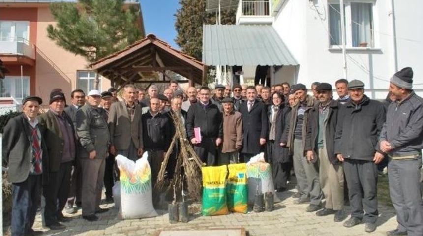 &Uuml;cretsiz Ceviz Fidanları Ve Yem Bitkileri Tohumları Dağıtıldı