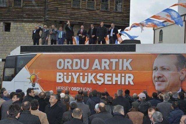 Enver Yılmaz Ve Anlayan ın Se&ccedil;im &Ccedil;alışmaları 1