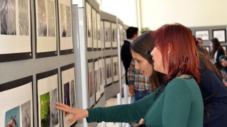 Mk&uuml;'de Temel Tasarım Sergisi A&ccedil;ıldı