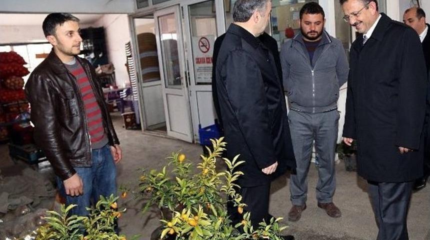 Başkan &Ouml;zhaseki, Meyve Ve Sebze Halini Ziyaret Etti