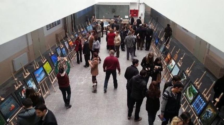 Üniversitede "griye Veda, Renklere Merhaba"