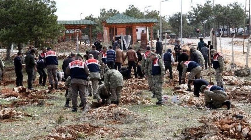 Gaziantep'te Jandarma Y&uuml;zlerce Fidanı Toprakla Buluşturdu