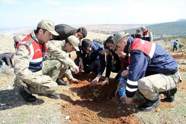 Gaziantep'te Jandarma Yüzlerce Fidanı Toprakla Buluşturdu