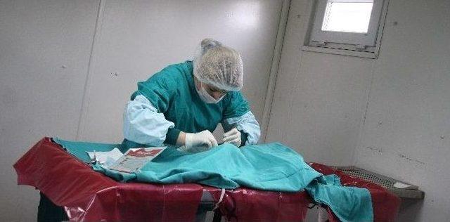 Bayraklı nın Veteriner Hekimleri İşbaşında 1