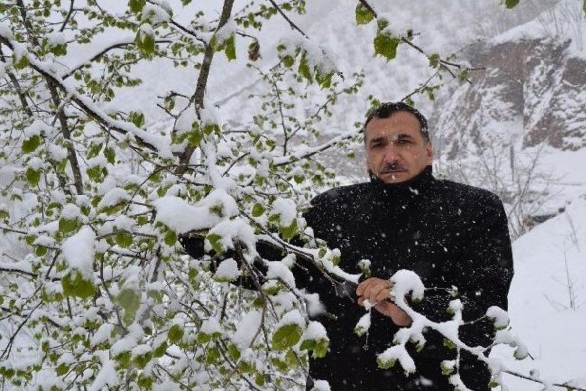 Baharı Beklerken Kış Geri Geldi