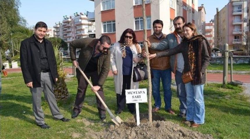 &Ouml;len 9 Gencin İsmi S&ouml;ke&rsquo;de Fidanlarıyla Yaşayacak