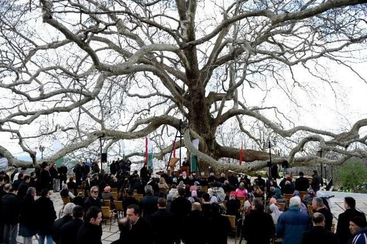 Tarihi İnkaya &Ccedil;ınarının &Ccedil;evresi Yenilendi