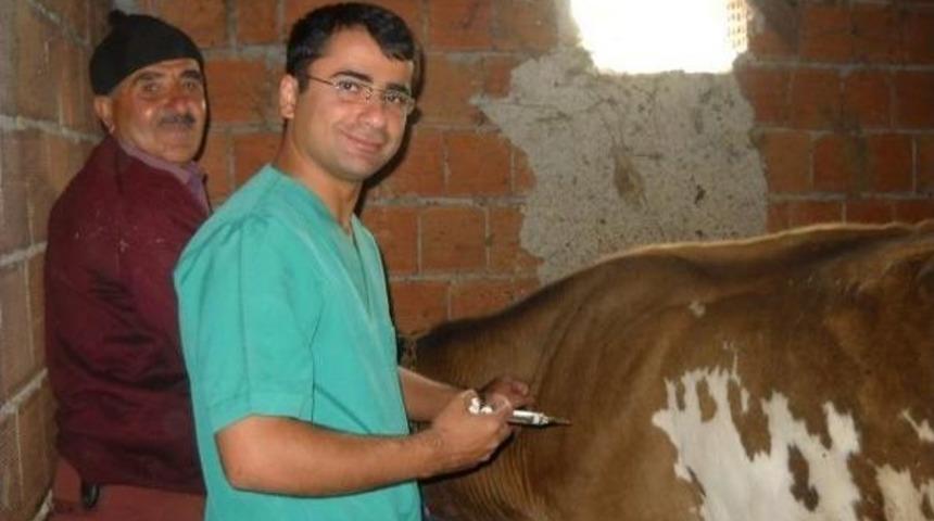 Karab&uuml;k&rsquo;te Şap Hastalığı İle M&uuml;cadele Kampanyası Başlatıldı