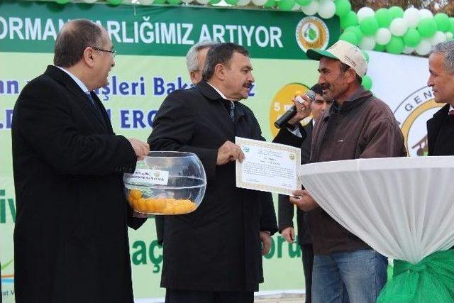 Bakan Eroğlu Manisa da Fidan Dikim T&ouml;renine Katıldı 2