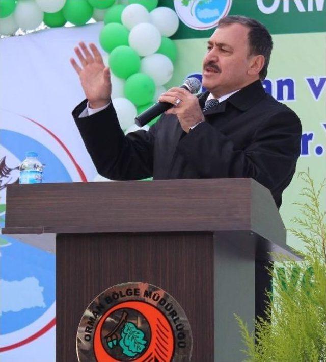 Bakan Eroğlu Manisa da Fidan Dikim T&ouml;renine Katıldı 3