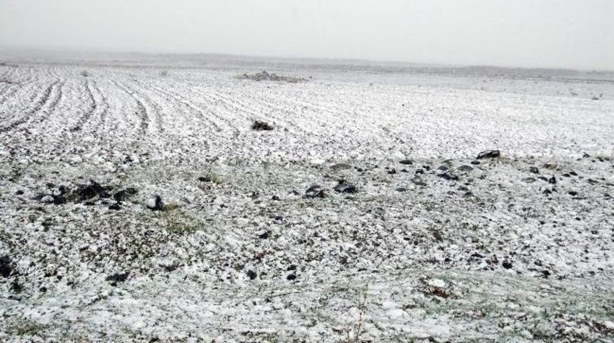 Siverek’te Kar Yağışı