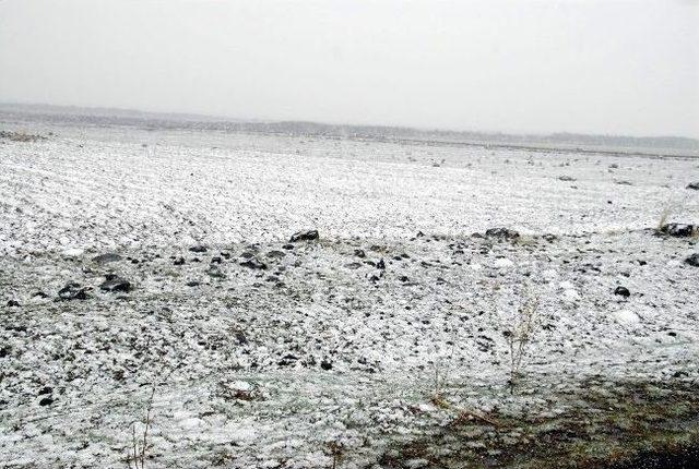 Siverek’te Kar Yağışı 2