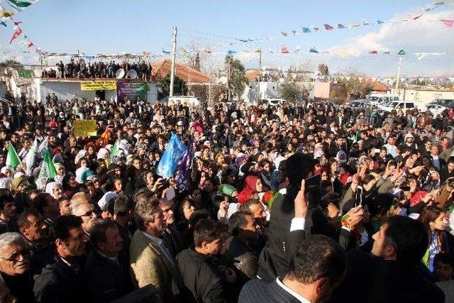 Hdp Eş Genel Başkanı Sebahat Tuncel: