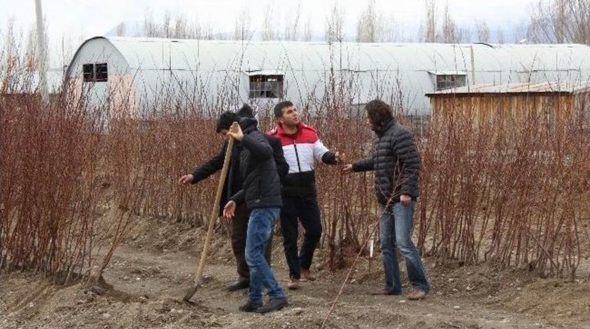 Erzincan&rsquo;da Fidan Satışları Başladı