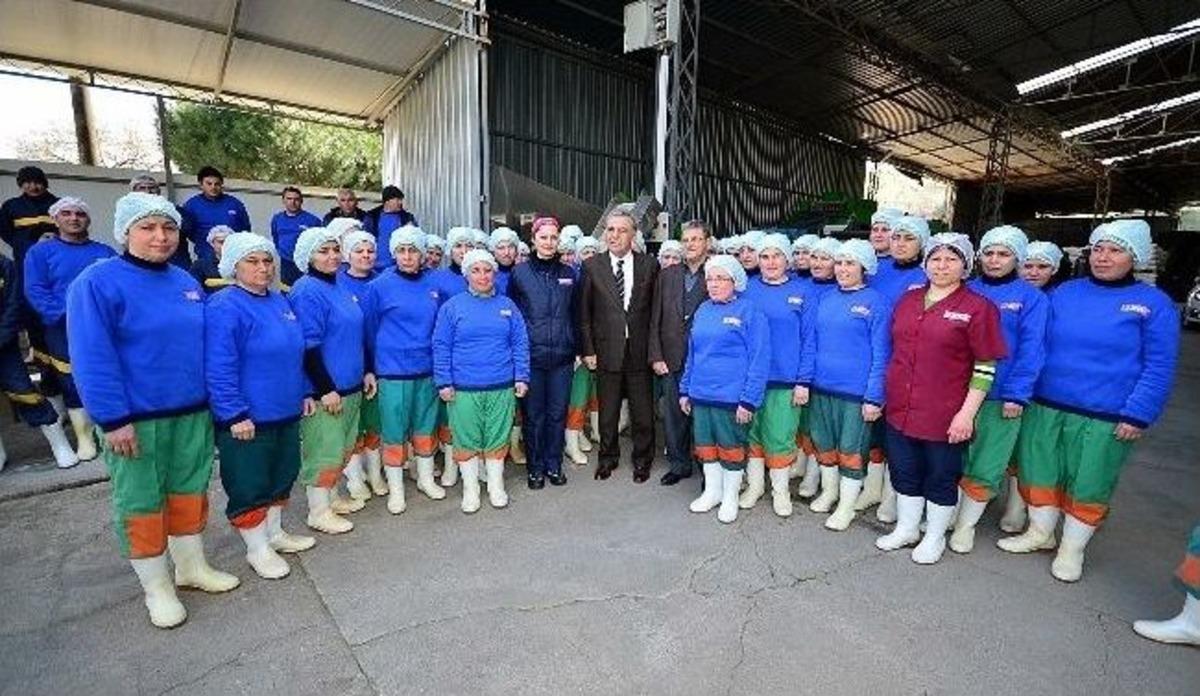 Başkan Aziz Kocaoğlu Kiraz'da