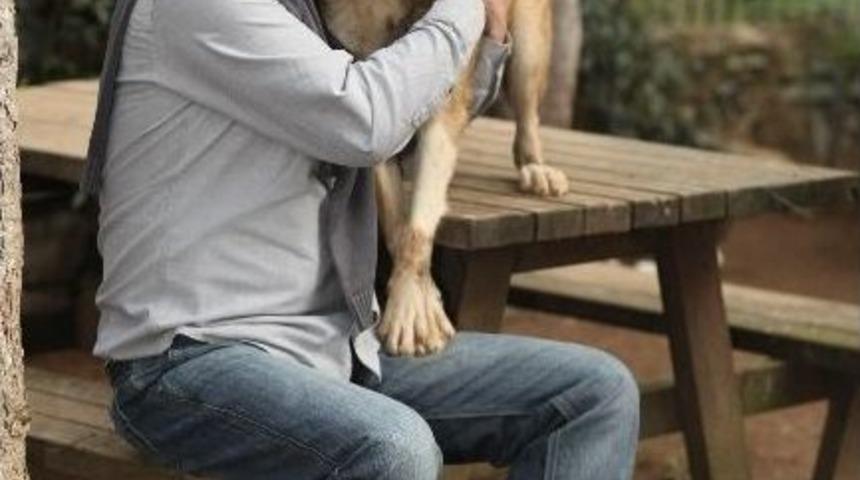 K&ouml;peklerin İnsan Sağlığına İnanılmaz Katkısı