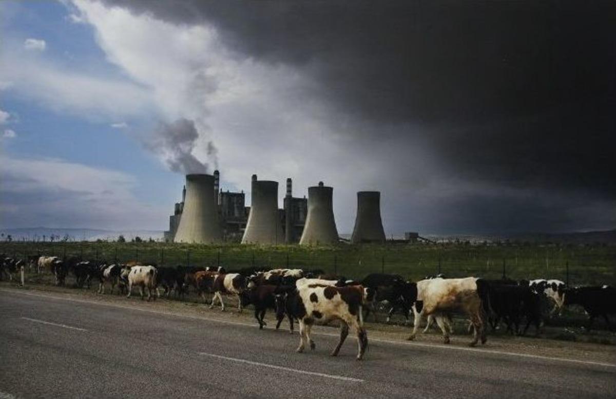 Konak Belediyesi Dağ Filmleri Festivali Başladı